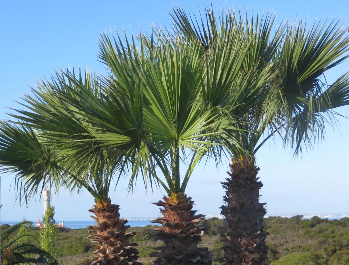Three Palms Apartment Ferragudo  Eksteriør billede